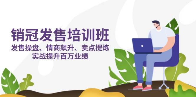 销冠发售培训班：发售 操盘+情商 飙升+卖点 提炼，实战提升百万业绩