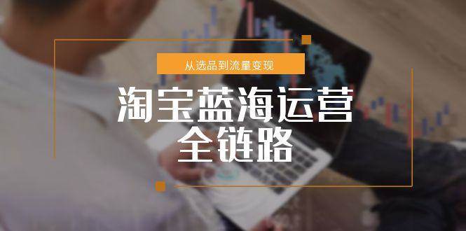 淘宝蓝海运营全链路，从选品到流量变现，小类目突围完整方案