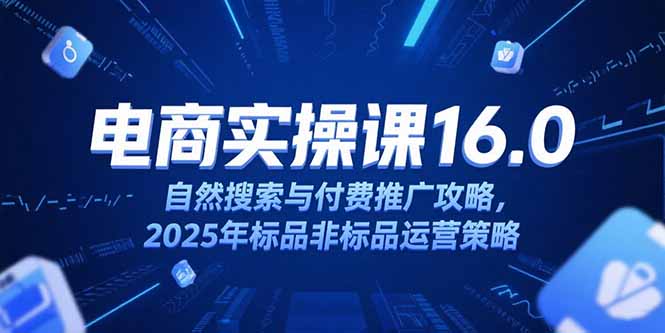 （15262期）淘宝电商运营课16.0，自然搜索与付费推广攻略，2025年标品非标品运营策略
