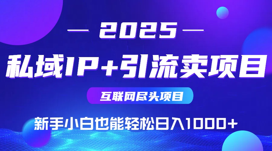 （15531期）2025网创尽头项目，私域IP+引流，新手小白也能在家日入1000+
