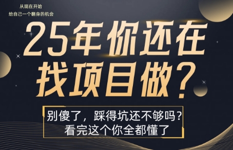 25年，你还在疯狂的找项目吗？别傻了，看完这个你都懂了