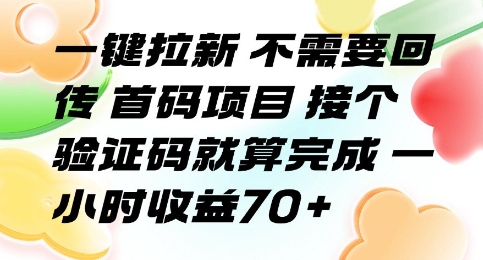 一键拉新 不需要回传 首码项目 接个验证码就算完成 一小时收益70+